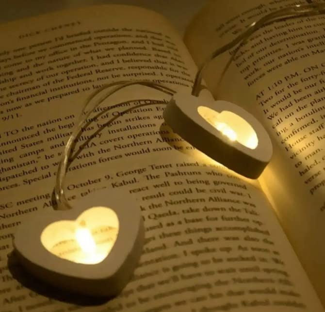 Wooden Heart String Lights 10 LED Hearts