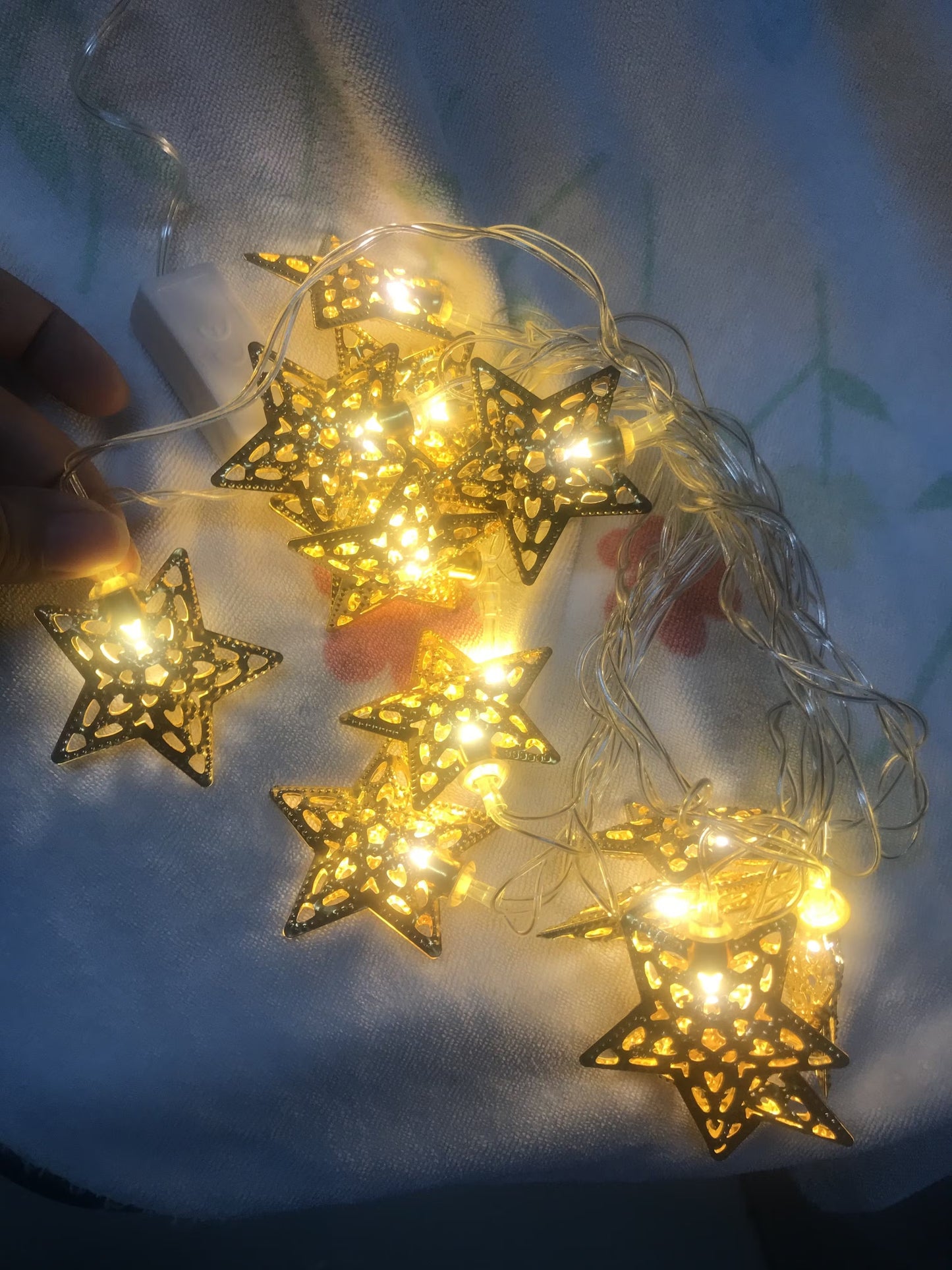 Metal Star Shaped LED Light (16 Warm White Bulbs)